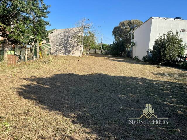 Terreno para Venda em Terra de Areia - 4